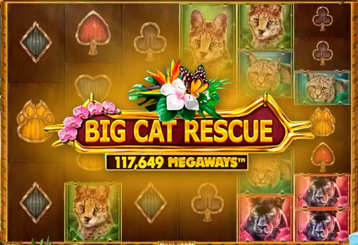 Big Cat Rescue Megaways Tm